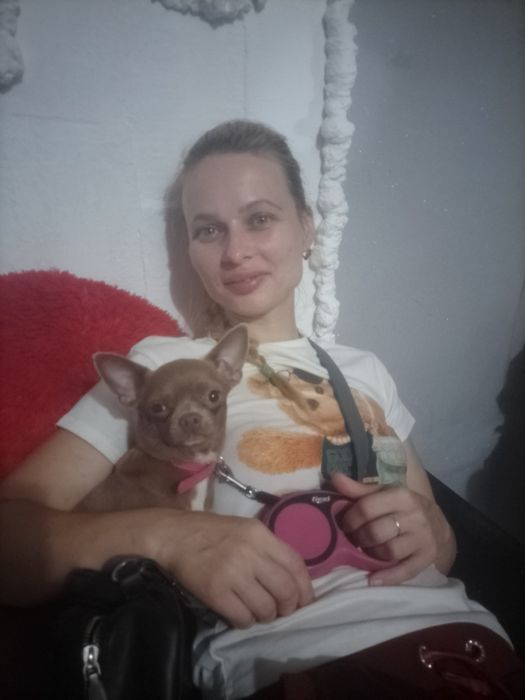 Потерялась чихуа в районе Кирова