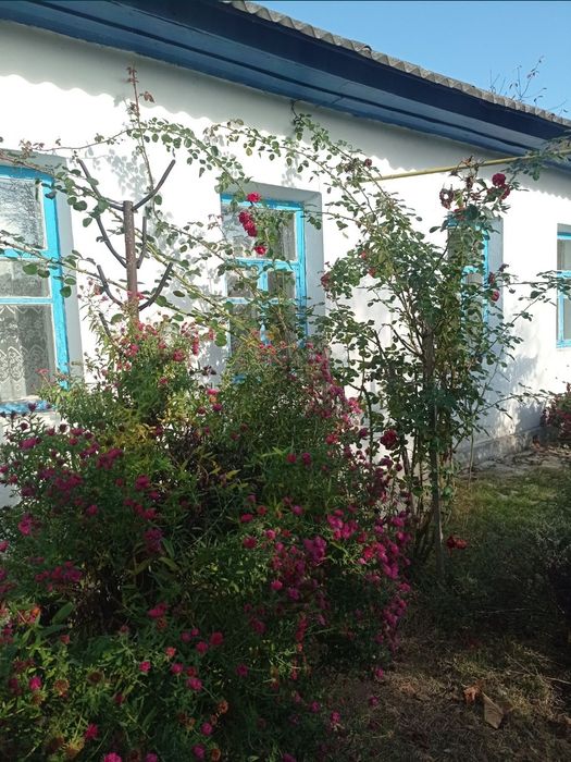 Продам будинок в селі Серединка Чернігівського району