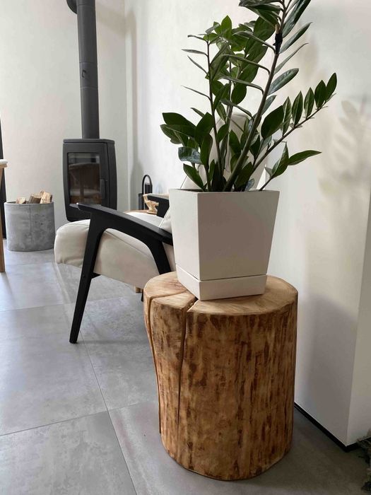 Бревно,колода,пень карпатського дерева,БУК,ДУБ,ЯСЕН,діаметр від 30до90