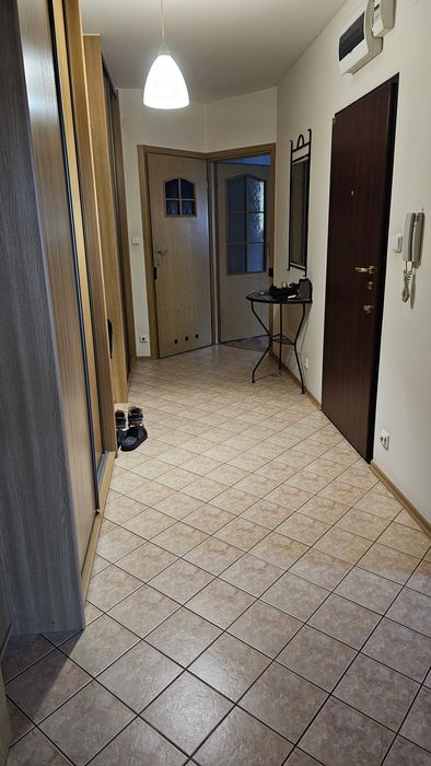 Pokój dla kociolubnej kobiety