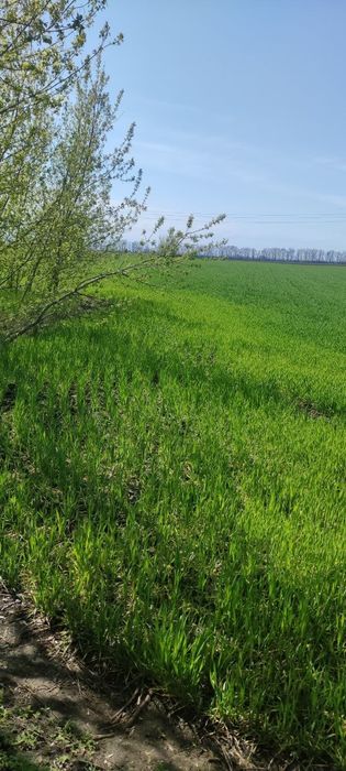 Продам земельну ділянку