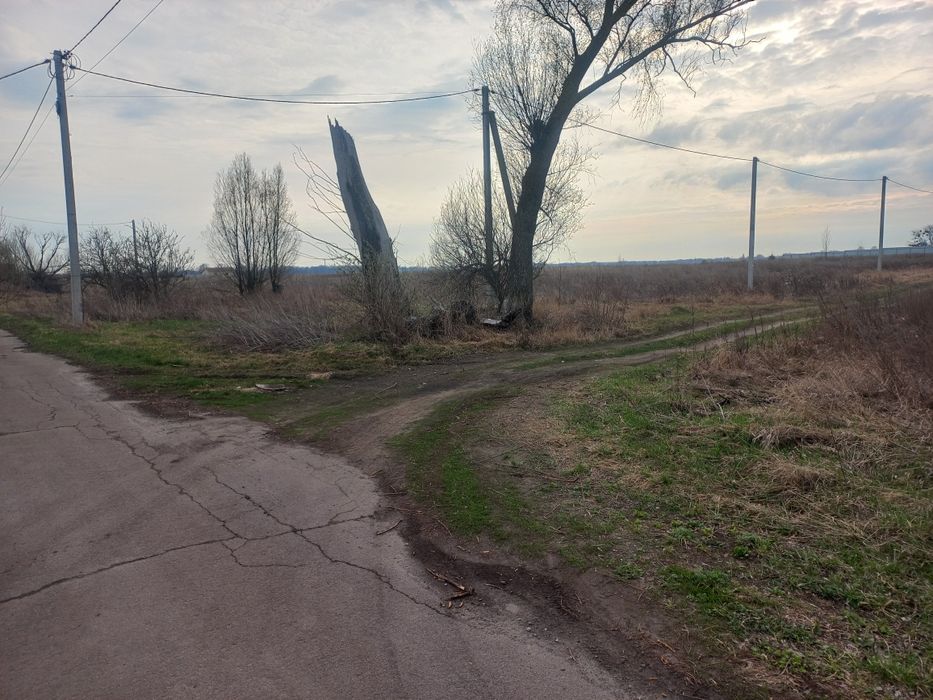 Продам земельну ділянку в Затишному