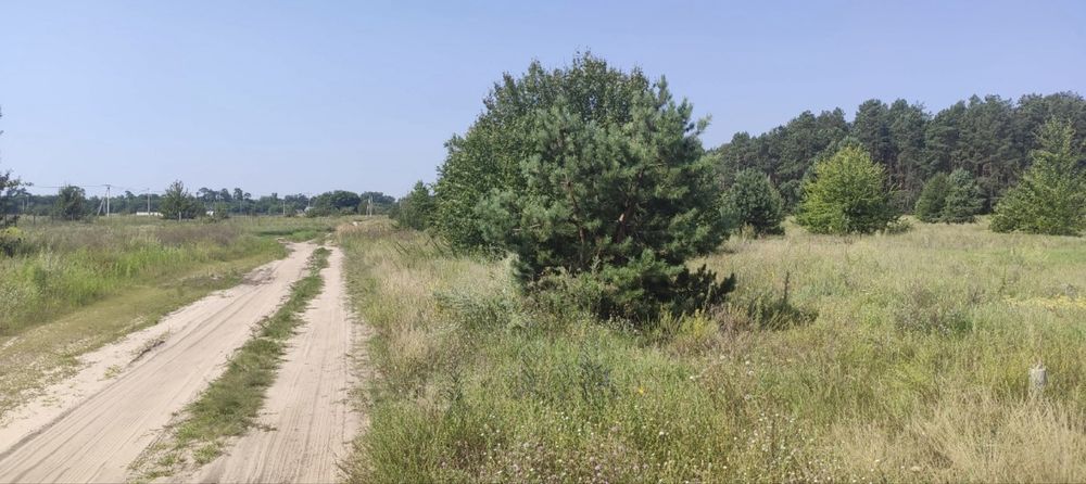 Земельна ділянка