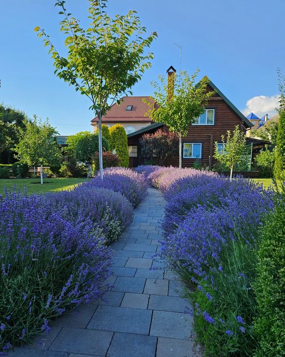 Ландшафтний дизайн/Догляд за садом/Садівник/Автополив