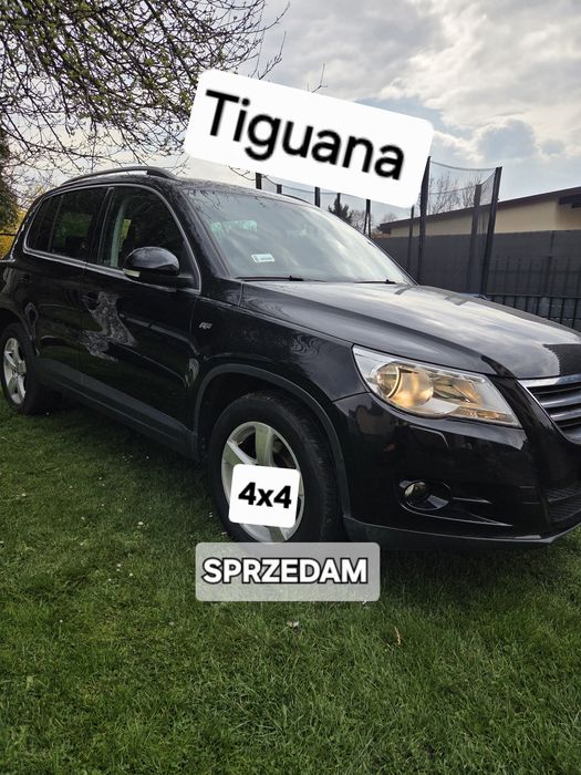 Auto na sprzedaż
