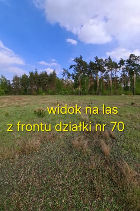 Ostatnia działka z DOSTĘPEM DO RZEKI SKRWA i widokiem na las