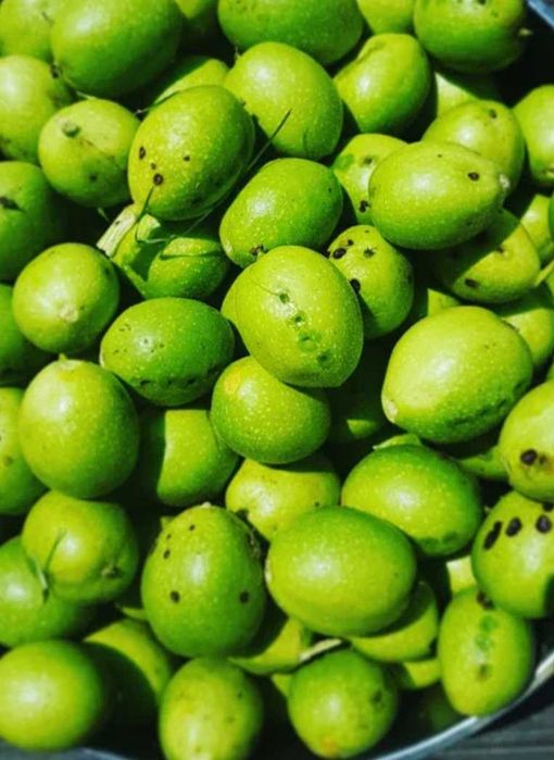 Wyciąg z orzecha włoskiego