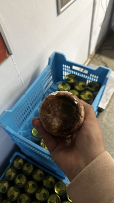 свина тушонка домашня