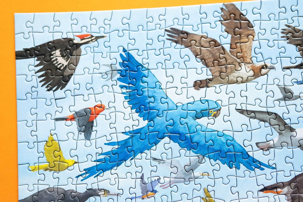 Puzzle Peter Pauper Press All the Birds 1000 el kompletne