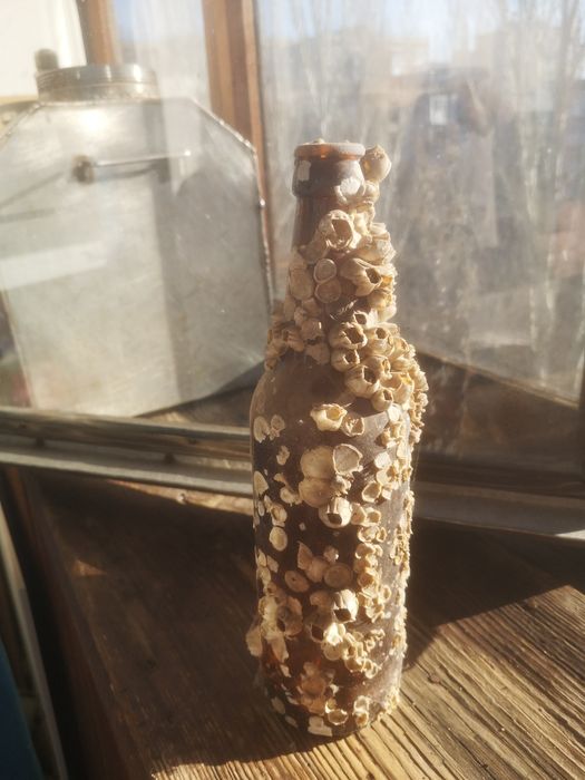 Бутылка с ракушками для декора