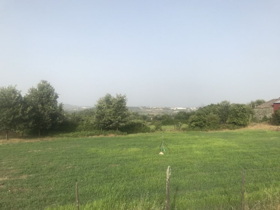 Terreno com 1 hectare com loteamento aprovado