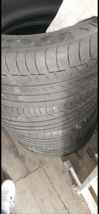 Continental Premium Contact 6