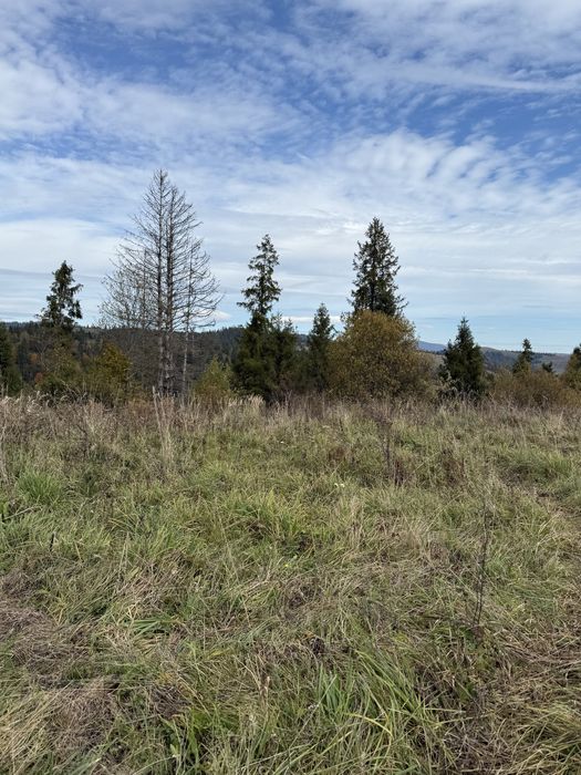 Продається 20 сотих в с. Подобовець