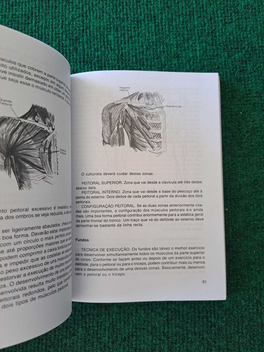 Guia Prático do Culturismo - José Viñas Buenache