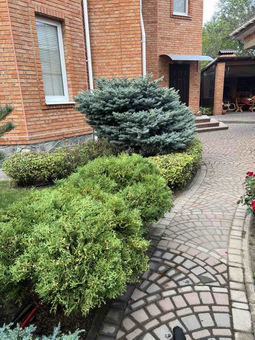 Облаштований, новий Будинок з меблями та технікою.