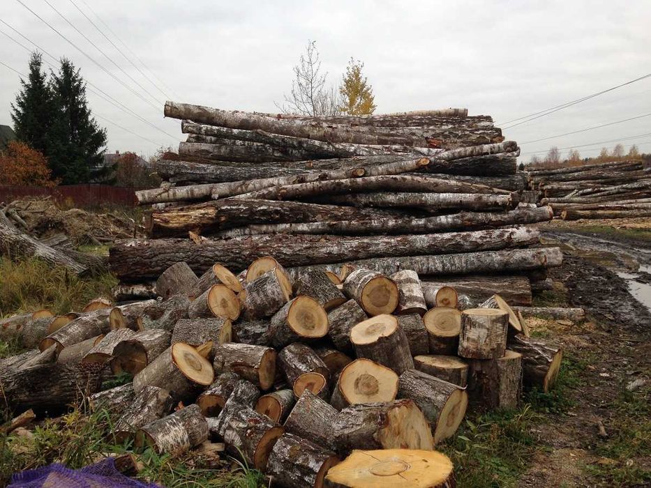 Дрова, дрова колоті, різних порід, дрова тверді, дрова м'які самоскид.