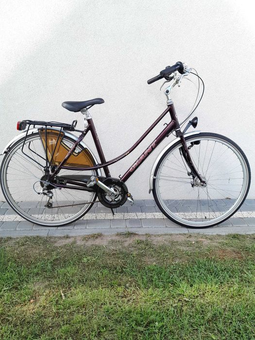Rower holenderski giant damka