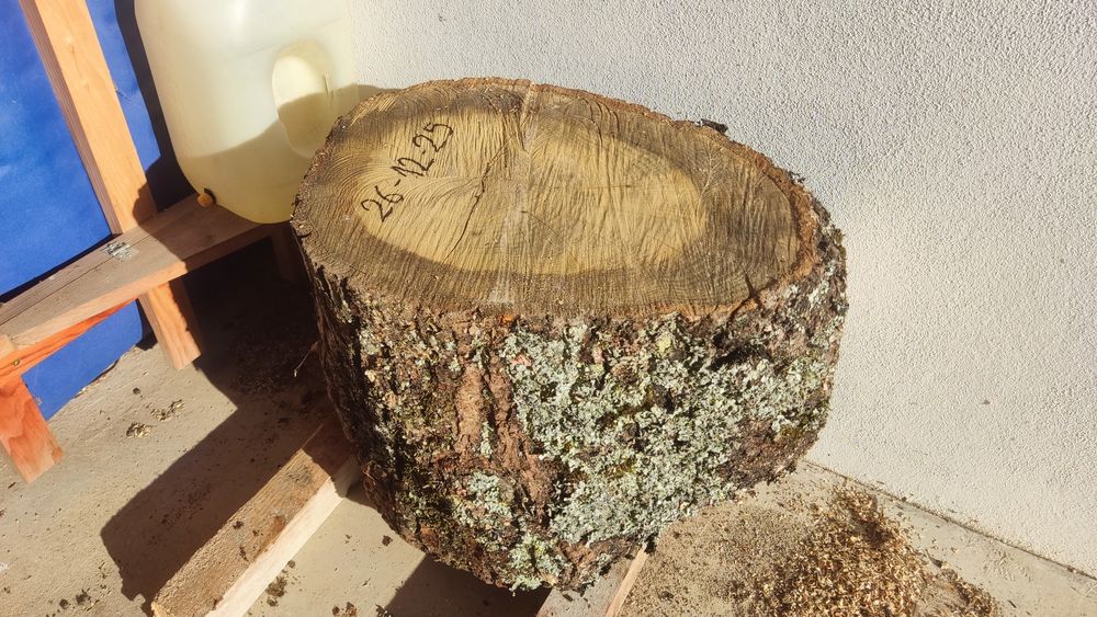 Tronco de carvalho