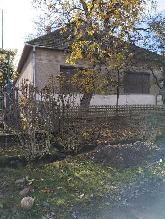 Продам будинок у с. Берегуйфалу, 15 км від Берегова Ціна: 18 000 $