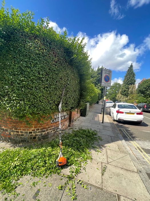 Serviços de Jardinagem - Manutenção de Jardins