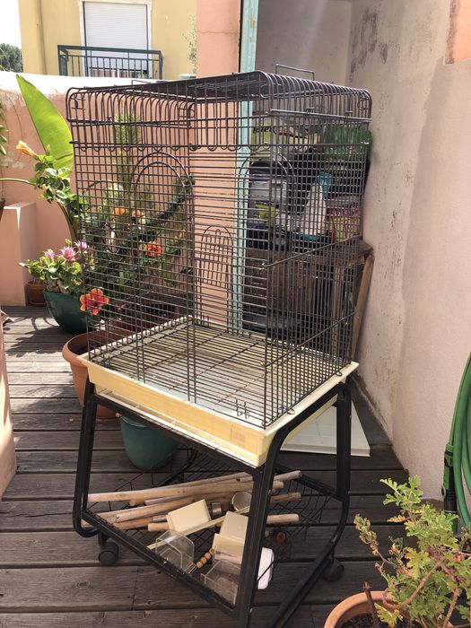 Gaiola grande para pássaros/papagaio