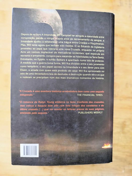 A Cruzada de Robyn Young