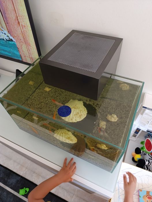 Aquário Fluvial Edge cinza