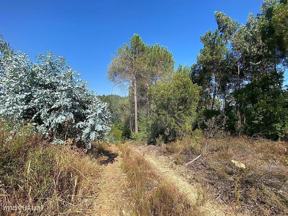 Terreno  para venda — Arganil, Coimbra