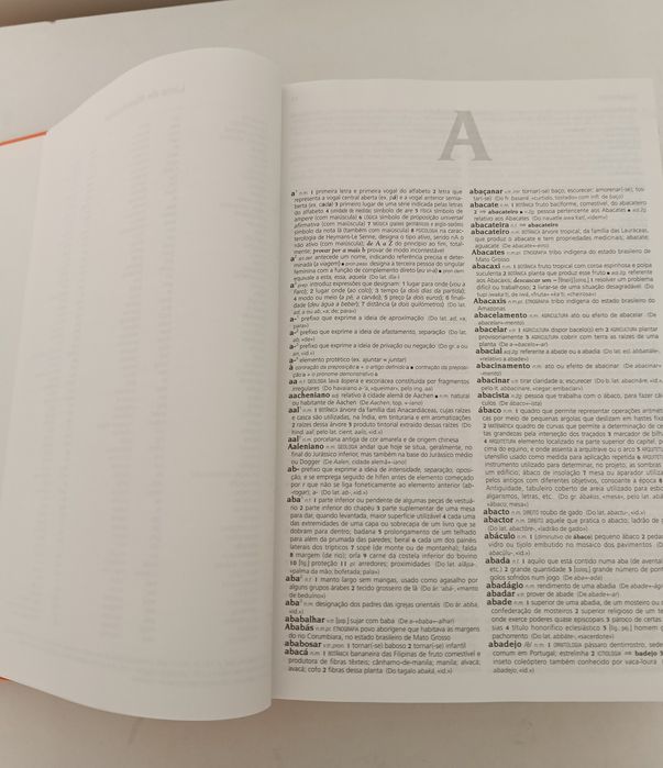 Dicionário Língua Portuguesa