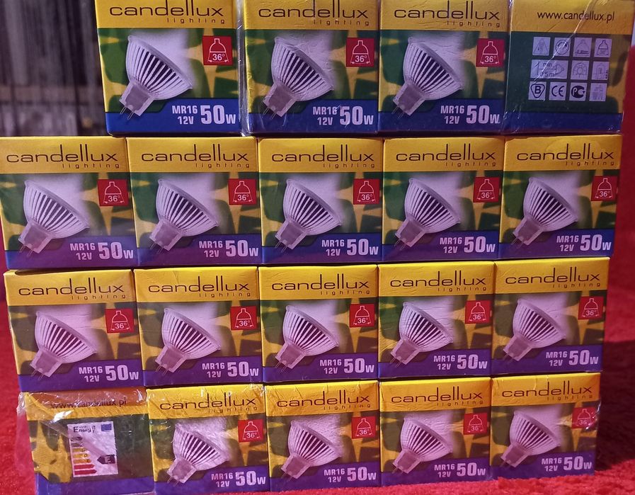 Żarówki Candellux