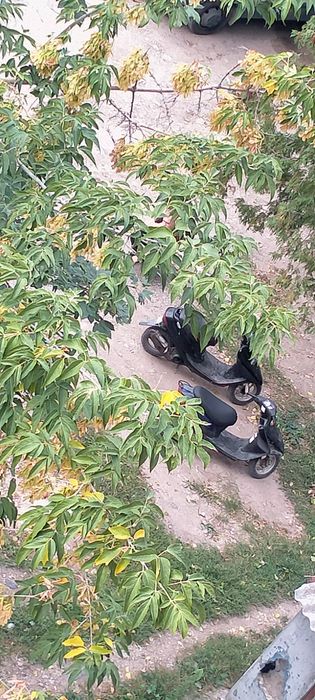 Xoнда діо 28ZXxx