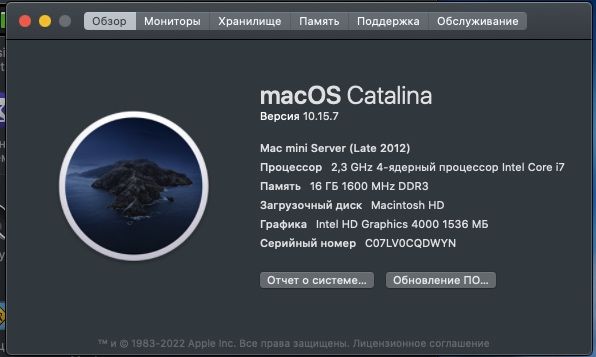 Mac mini md389 Server