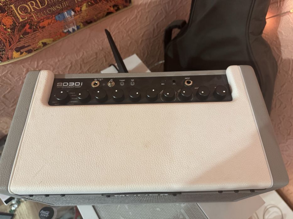 Комбопідсилювач Mooer sd30i