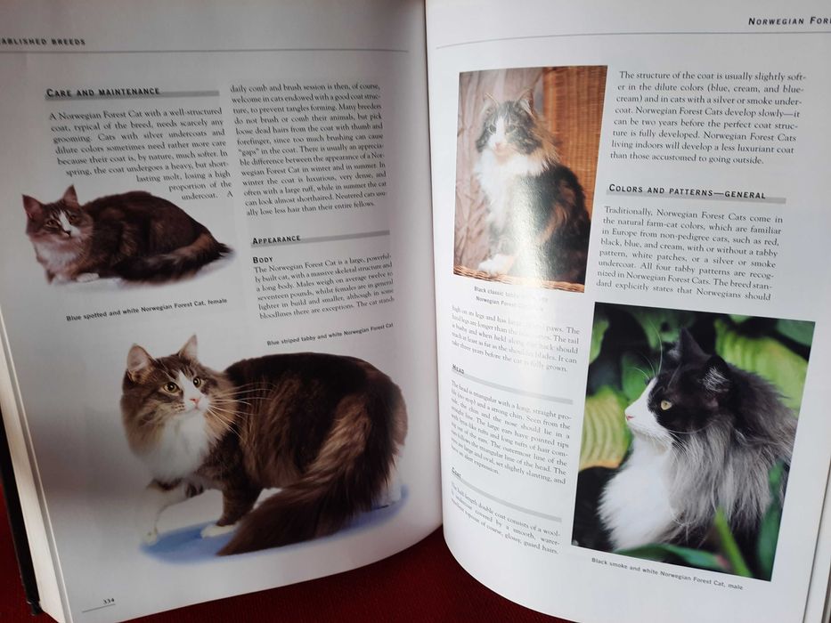 The complete encyclopedia of Cats