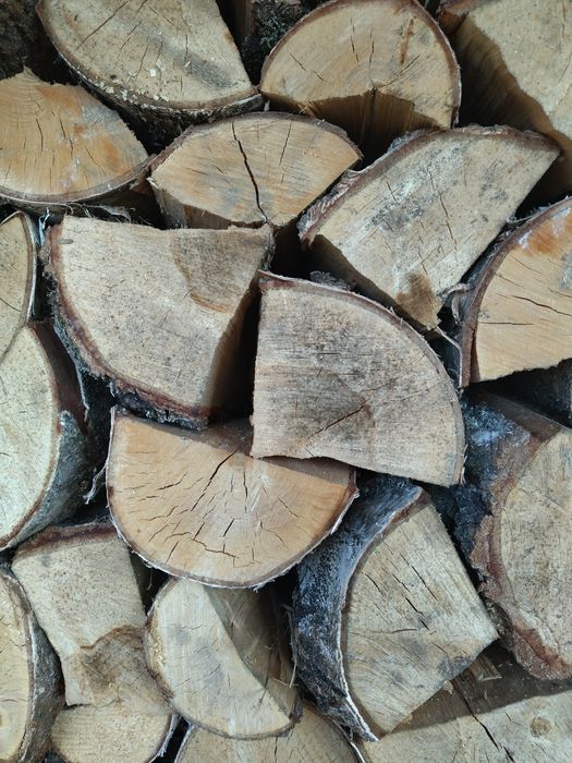 Drewno opałowe, kominkowe