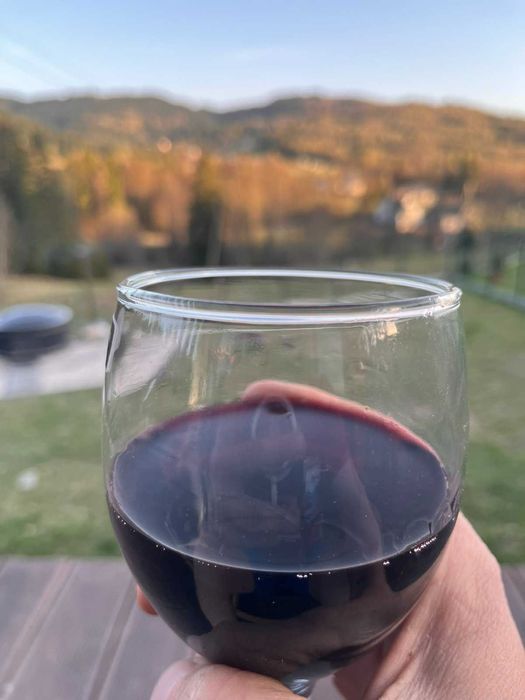 FERIE 2026 - PROMOCJA ! Domek na wyłączność z prywatną Balią w cenie