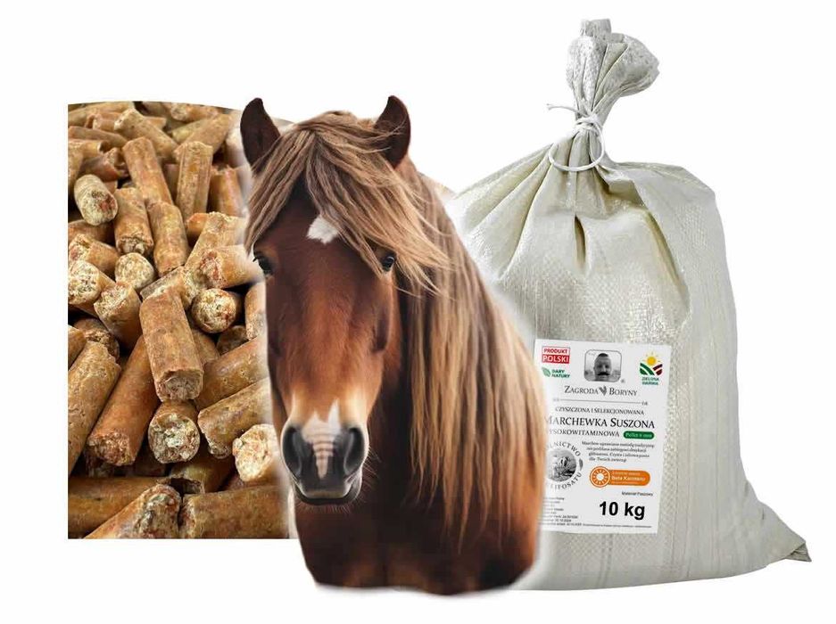 Marchew Suszona Granulowana 10 KG dla Koni i Kuców Karoten