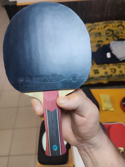 Butterfly Mizufani Apolonia Franzisca zlc Fan Zhendong  Petr korbel