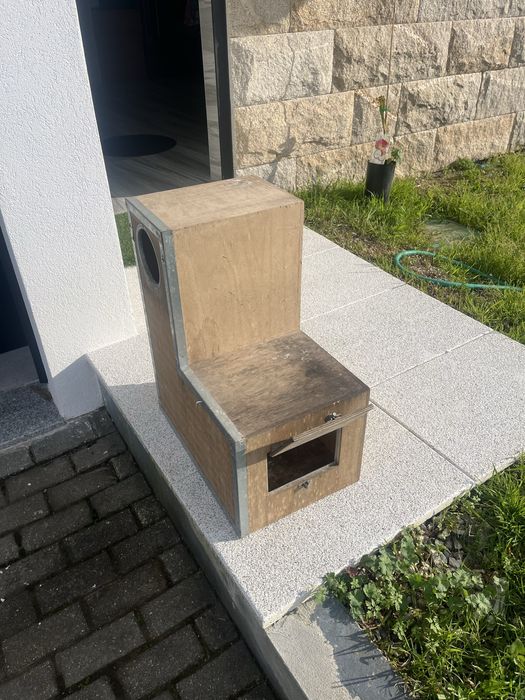 Disponivel ninhos em L  papagaio