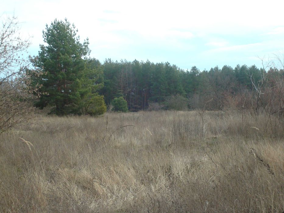 Ціну змінено!!! Продам земельну ділянку під будівництво в с. Чорнявка