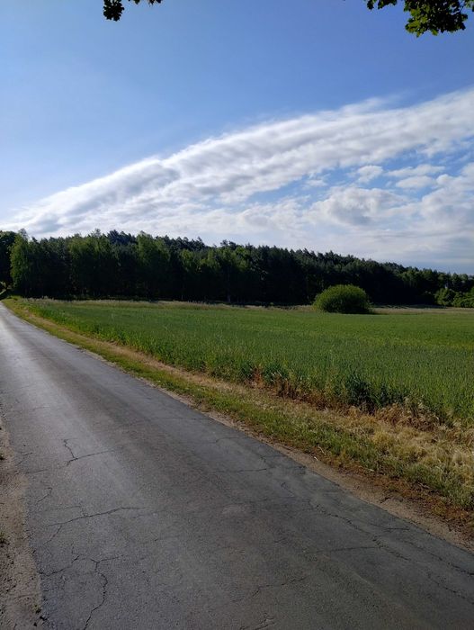 2 działki budowlane przy lesie , świetna lokalizacja