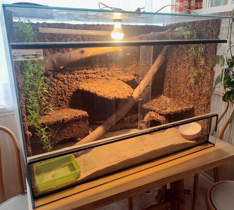 Terrarium szklane 100×70×50 cm – wentylowane, ręcznie robione tło