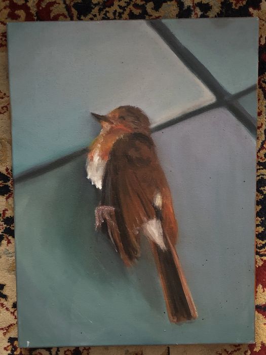 Obraz olejny "Rudzik" 30x40cm