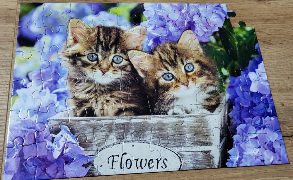 Puzzle słodkie kotki firmy Castorlamd Puzzle.
Stan bardzo dobry.