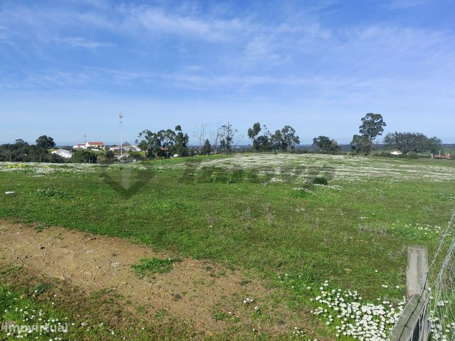 Rustic land of 0.775 Ha located in Dogueno - Almodôvar