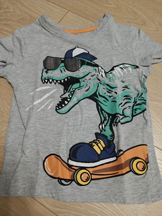 Koszulka dinozaur 110