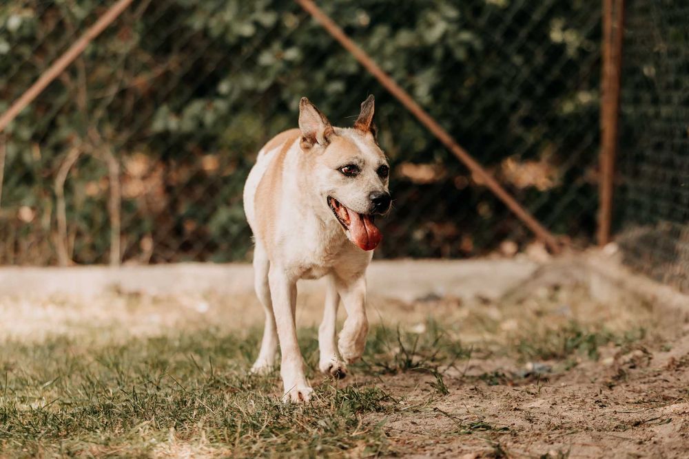 Podobno w moich oczach można się zakochać... - Bastek