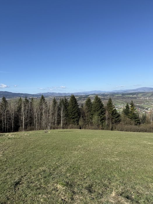 Działki rolno-widokowo, Popowice Stary Sącz - Widok 5