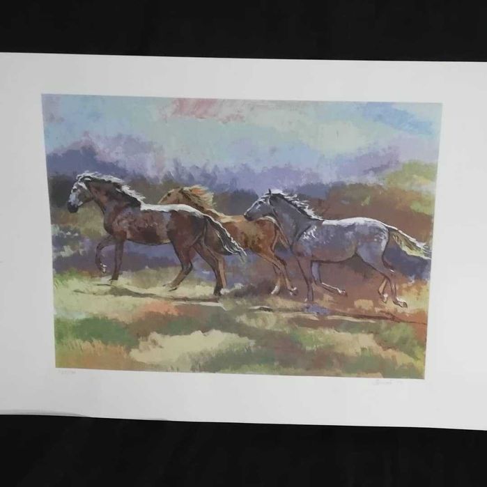 #serigrafias #ferrãodefaria #limadefreitas