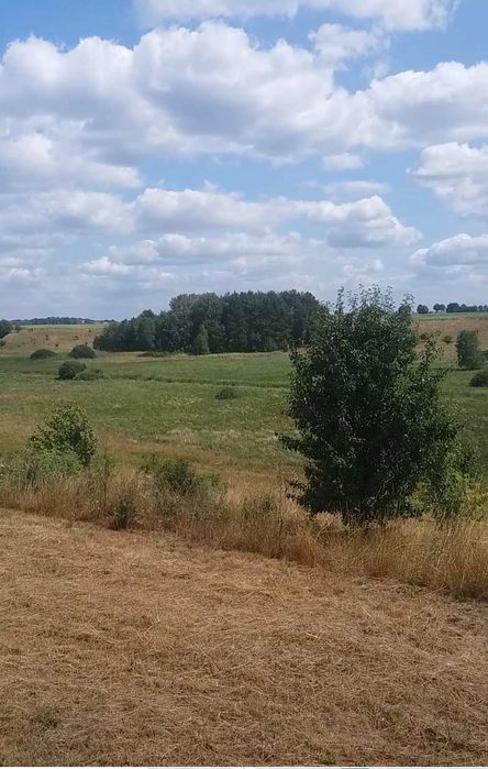 DWIE działki z warunkami zabudowy